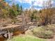 Scenic view of a creek surrounded by trees and natural vegetation in a natural setting at 2733 S Riverview Dr, Idledale, CO 80453