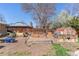 Large backyard featuring raised garden beds, shed, and mature trees at 1744 S Leyden St, Denver, CO 80224