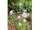 Beautiful white and lavender columbine flower in garden at 1744 S Leyden St, Denver, CO 80224