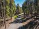 Asphalt driveway surrounded by tall green trees, creating a scenic entrance at 32252 Steven Way, Conifer, CO 80433