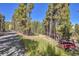 Gravel driveway and property entrance, showcasing a serene treelined approach to the property at 32252 Steven Way, Conifer, CO 80433