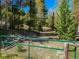 Lush landscape with a green metal fence, surrounded by trees and a clear blue sky at 32252 Steven Way, Conifer, CO 80433