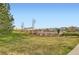 Community playground and picnic shelter is set amongst green grass, mature trees, and landscaping at 14110 Greenfield Loop, Parker, CO 80134