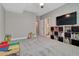 A room with grey carpet, a TV, books and toys creating a space for learning, relaxation, and fun activities at 4213 Hickory Oaks St, Castle Rock, CO 80104