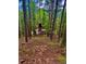 Girl on swing in wooded backyard at 12191 Tecumseh Trl, Conifer, CO 80433