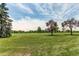 Expansive green park with mature trees and open space, perfect for recreation and community gatherings at 7682 S Cove Cir, Centennial, CO 80122