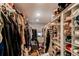 Walk-in closet featuring built in shelving, hanging racks, and ample space for organization and storage at 8463 Wheatgrass Cir, Parker, CO 80134