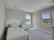Cozy bedroom features neutral walls, carpet floors, large windows, and a comfortable bed with accent pillows at 6880 S Yantley Ct, Aurora, CO 80016