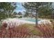 A community pool area with a covered pool, trees, and some decorative shrubs at 1518 Whitehall Dr, Longmont, CO 80504