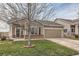 Charming single-Gathering home with a well-manicured lawn, an attached garage, and a welcoming curb appeal at 5490 Suffolk Ave, Castle Rock, CO 80104