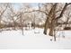 Expansive snowy backyard featuring mature trees and a charming rope swing for outdoor enjoyment at 6378 S Benton Way, Littleton, CO 80123