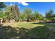 Spacious backyard with a well-maintained lawn, mature trees, and a wooden pergola for outdoor enjoyment at 308 Oswego St, Aurora, CO 80010