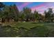 Expansive backyard with lush lawn, mature trees, and a charming wooden pergola for outdoor relaxation at 308 Oswego St, Aurora, CO 80010