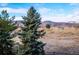 Expansive mountain views with a large evergreen tree in the foreground, creating a peaceful and scenic backdrop at 12338 W Dorado Pl # 206, Littleton, CO 80127