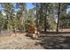 A small wooden structure is in the middle of a yard at 28539 Douglas Park Rd, Evergreen, CO 80439