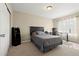 Bedroom features carpet, window, and closet, with neutral tones creating a cozy and inviting atmosphere at 22 Apache Plume St, Brighton, CO 80601