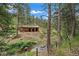 Exterior of a barn featuring a red and tan exterior with open stalls surrounded by lush pine trees at 27756 Troublesome Gulch Rd, Evergreen, CO 80439