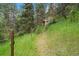 Landscaped grassy path leading to the cabin in the woods at 27756 Troublesome Gulch Rd, Evergreen, CO 80439