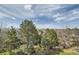 Scenic backyard view with mature trees and a glimpse of distant mountains under a cloudy sky at 7411 S Curtice Ct, Littleton, CO 80120