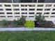Landscaped beds with flowering rose bushes and green shrubs in a mulched area create a beautiful, natural scene at 635 S Alton Way # 6A, Denver, CO 80247