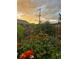 Beautiful backyard garden with various colorful flowers at sunset at 2855 Albion St, Denver, CO 80207