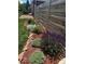 Beautifully landscaped garden bed alongside house with grass at 2855 Albion St, Denver, CO 80207