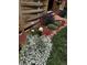 A landscaped garden bed along the side of the house at 2855 Albion St, Denver, CO 80207