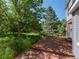 Inviting wooden deck with brick accents and lush greenery, perfect for outdoor relaxation at 11824 E Basswood Ln, Franktown, CO 80116