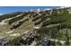 Expansive aerial view of the ski resort, slopes, and cozy lodging nestled amidst trees at 107 Ski Watch Rd # 32, Breckenridge, CO 80424