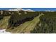Forested ski slope with snow-capped mountains featuring scenic runs for skiing at 107 Ski Watch Rd # 32, Breckenridge, CO 80424