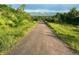 Picturesque hiking trail surrounded by lush greenery and trees, offering a serene outdoor experience at 2480 W Jamison Way, Littleton, CO 80120