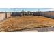 Backyard featuring beautiful landscaping with rocks and decorative grasses at 17046 Desert Wine Trl, Parker, CO 80134