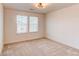 Bedroom featuring plush carpet, large windows for natural light, and a modern ceiling light at 17046 Desert Wine Trl, Parker, CO 80134