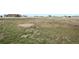 A lush, expansive grassy land with stunning views for building a home at 28700 E 160Th Pl, Brighton, CO 80603