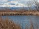 Scenic pond view with mountains in the distance at 10676 Forester Pl, Longmont, CO 80504