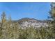 Breathtaking mountain view framed by lush evergreen trees at 846 Circle K Ranch Rd, Evergreen, CO 80439