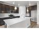 Well-appointed kitchen with dark cabinetry, a center island, and stainless steel appliances at 4543 Cholla Trl, Castle Rock, CO 80104