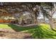 Well manicured backyard view of the home's back porch at 21593 Hill Gail Way, Parker, CO 80138
