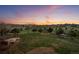 Large backyard with mature trees, well-maintained lawn, and colorful sunset sky at 6371 Diamond Ridge Pkwy, Castle Rock, CO 80108