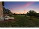 Expansive backyard with lush lawn, mature trees and elegant stone accents, perfect for enjoying the outdoors at 6371 Diamond Ridge Pkwy, Castle Rock, CO 80108