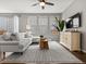 Comfortable living room featuring a plush sofa, stylish rug, and plenty of natural light at 5716 Boston Ct, Denver, CO 80238