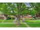 Landscaped front yard with a mature tree framing the brick home and sidewalk at 538 Cook St, Denver, CO 80206