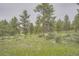 A picturesque nature area showcasing the lush greenery and walking paths in the community, creating a serene environment at 8153 S Ider Ct, Aurora, CO 80016