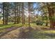 Grassy yard with trees, open area and parked trailer at 8821 Blue Creek Rd, Evergreen, CO 80439