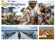 Images include: town logo, statue, lake and dock, view of a town building at 5205 Periwinkle Way, Brighton, CO 80640
