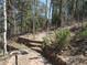 A backyard featuring stone steps and trees at 23136 Kiowa Rd, Indian Hills, CO 80454