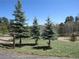 Beautiful trees adorn the landscape, featuring green grass and natural light with mountain views beyond at 23136 Kiowa Rd, Indian Hills, CO 80454