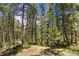 Tranquil backyard features a rustic wooden swing set built between mature pine trees at 7364 Rossman Gulch Rd, Morrison, CO 80465