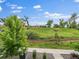 Landscaped yard with mature trees, green grass and partial views of the neighborhood at 2468 Channel Dr, Highlands Ranch, CO 80129