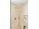 Spa-like shower with a rain shower head, hand sprayer, built-in niche, and elegant gold fixtures at 2738 N Clay St, Denver, CO 80211